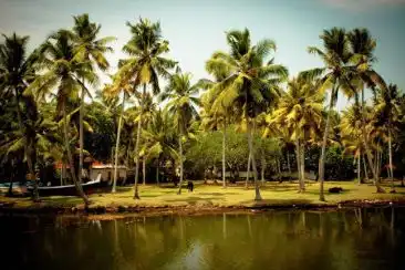 Delhi to Kerala tour packages