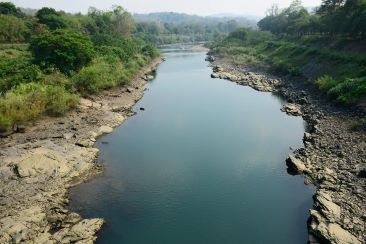 Pichavaram Canal Quest