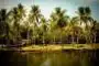 Delhi to Kerala tour packages